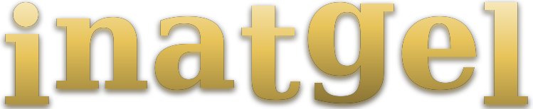 inatgel logo